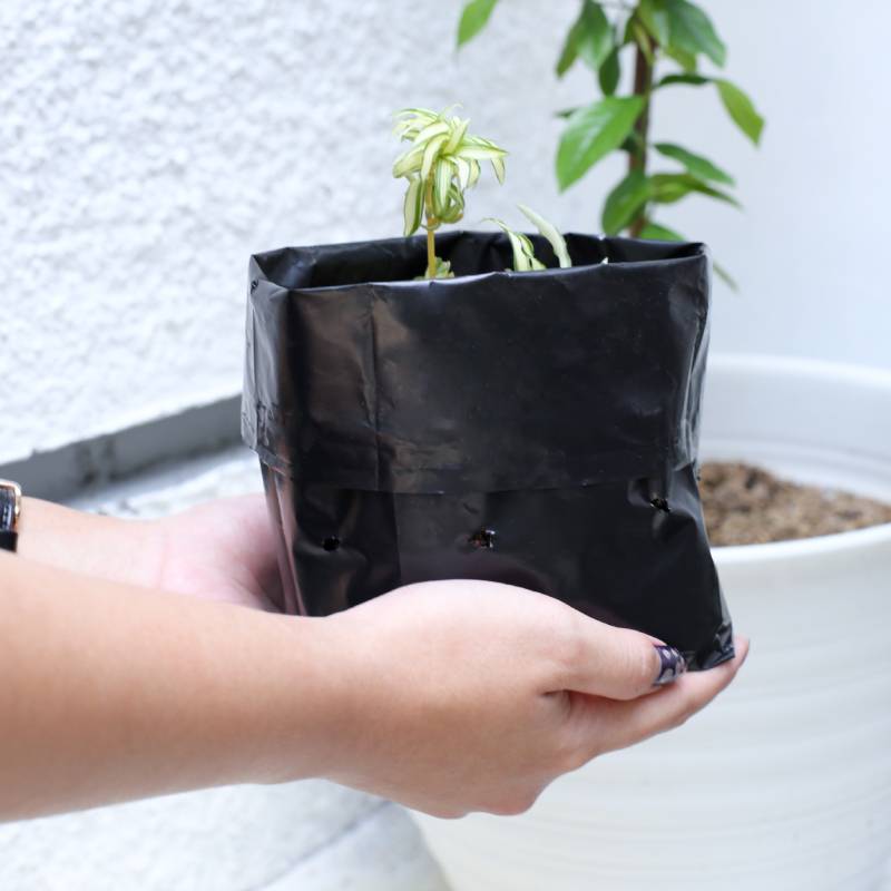 Plastik polybag Plastik polybag